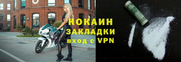 тгк Ельня