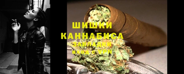тгк Ельня
