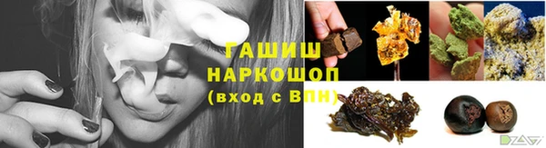 тгк Ельня