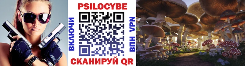 Купить где  Макарьев  Псилоцибиновые грибы Psilocybe 